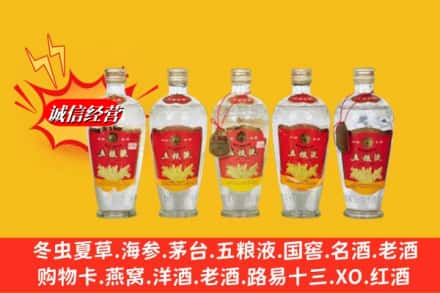 常德桃源县回收老五粮液