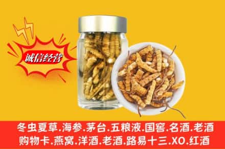 常德桃源县回收散虫草
