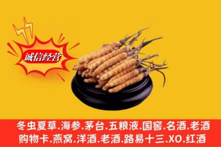 常德桃源县求购回收虫草多少钱每克